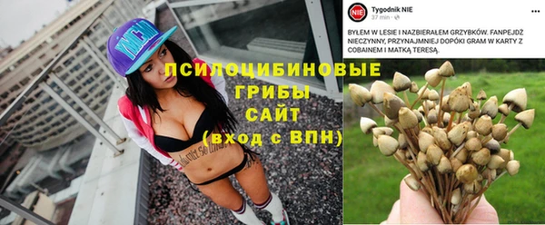 a pvp Арсеньев