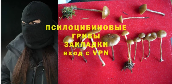 винт Армянск