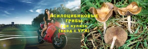 винт Армянск