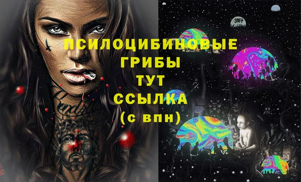 a pvp Арсеньев