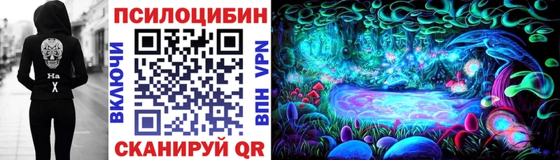 Псилоцибиновые грибы Cubensis Нижняя Салда